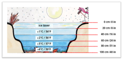 השפעת טמפרטורת האוויר על טמפרטורת המים בגבהים שונים