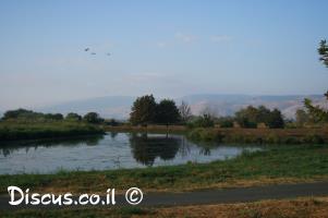 דגים-בשמורת-החולה