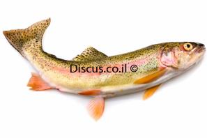 טרוטת עין הקשת